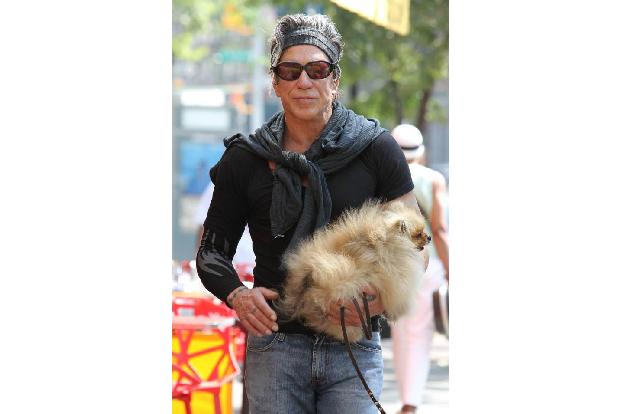 ...Mickey Rourke. Auf dem Arm kann Bello schließlich viel weniger Schabernack anstellen! Und wenn der kleine, plüschige Spit...