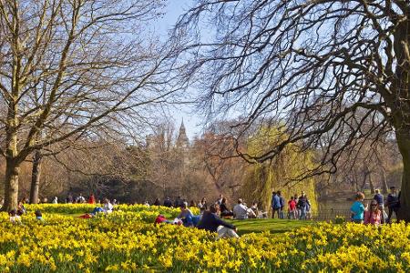 Der älteste königliche Park in London ist der St. James's Park. In der Mitte befindet sich ein langgestreckter See mit zwei ...