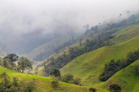 Zwischen Kolumbien und Panama liegt der Tapón del Darién. Es ist die letzte Lücke der riesigen Panamericana-Straße. Bis vor ...