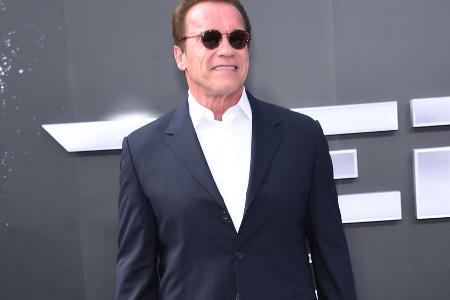 Arnold Schwarzenegger: Seine 