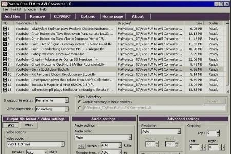 Pazera Free FLV to AVI Converter - Sobald ein Youtube-Video heruntergeladen wurde, kann es mit diesem kostenlosen Tool in ei...