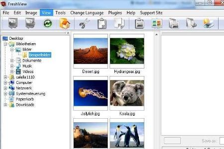 Viel-Könner: Freshview ist ein Multimedia-Browser, mit dem sich Bilder, Audio-Dateien und Videos verwalten lassen. Mit dem P...