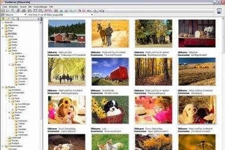 Betrachter & Verwalter: StudioLine PhotoBasic bietet Ihnen als Verwaltungsprogramm für Ihre digitalen Photos alle notwendige...