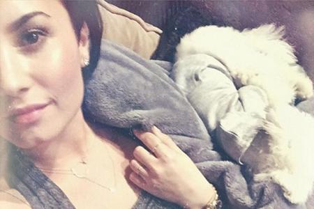 Demi Lovato und ihre Jungs: Ihr Freund Wilmer Valderrama und Hund Buddy