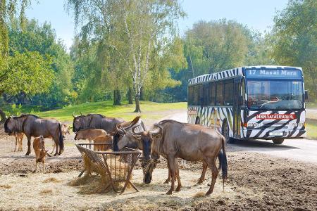 Exotische Tiere in zwei Wildparks in Niedersachen und den Niederlanden