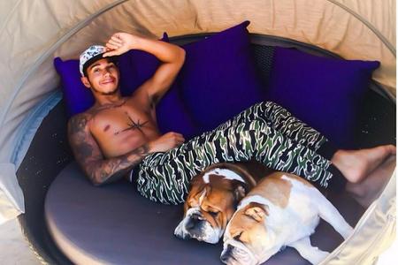 Lewis Hamilton relaxed in Belgien mit seinen zwei Hunden