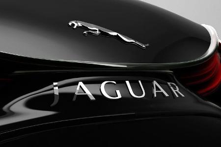 Jaguar XKX, Designstudie, Logo, Markenemblem