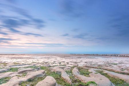 Das Wattenmeer ist viel mehr als nur ein Küstenstreifen. Hier lassen sich tausende Tierarten entdecken und beobachten - von ...