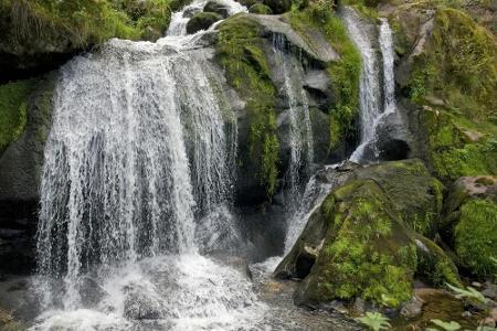 Die Triberger Wasserfälle im Schwarzwald zählen zu den höchsten Wasserfällen des Landes. Rund eine halbe Million Menschen be...