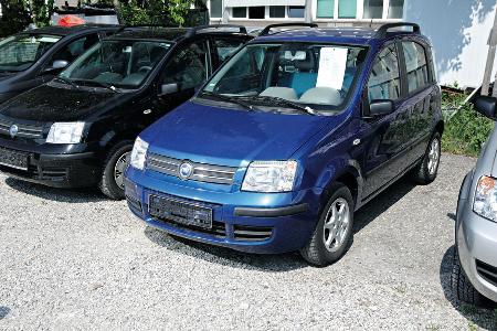 Fiat Panda 1.2, Frontansicht