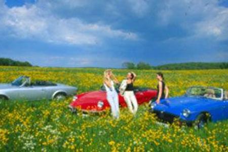 Cabrio-Fahrt ins Grüne, freudig den Frühling genießen und das blühende Leben.