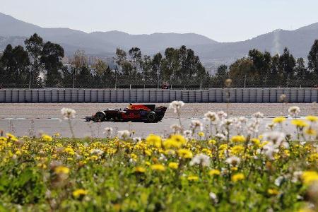 Daniel Ricciardo - Red Bull - F1-Test - Barcelona - 2017