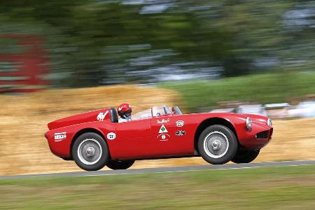 Alfa Romeo 750 Competizione, Seitenansicht