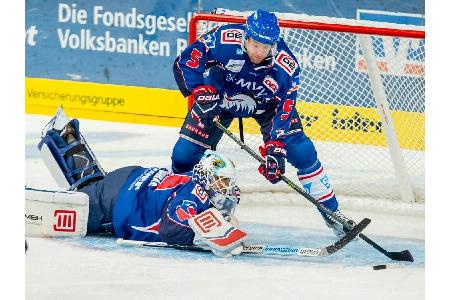 Eishockey: Lange Pause für Mannheims Johnson Eishockey: Lange Pause für Mannheims Johnson