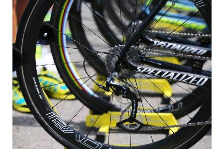 Gimondis Tochter will an Spitze von Italiens Radsportverband