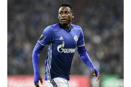 Auf Wunsch von Chelsea: Verletzter Baba reist zu Untersuchung nach London Auf Wunsch von Chelsea: Verletzter Baba reist zu Untersuchung nach London