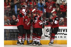 NHL: Rieder glänzt mit Siegtreffer, auch Holzer gewinnt