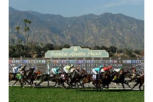 Galopp: Favorit Arrogate gewinnt Millionen-Rennen