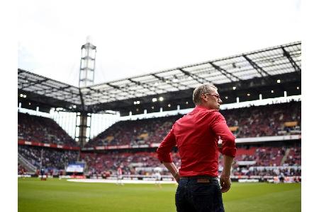 Grünes Licht für neuen Rasen in Köln