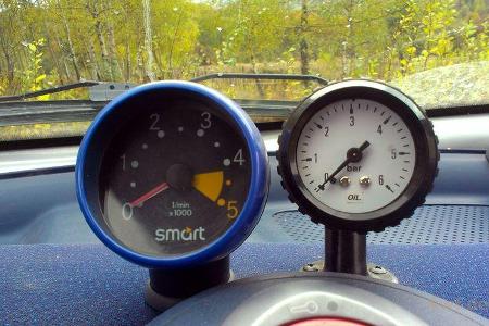Offroad-Smart fortwo von George Kosilov