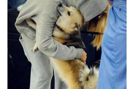 Da freut sich aber einer! Auch Cara Delevingne liebt das Kuscheln mit ihrem Vierbeiner. Der Hund des 25-jährigen Models hört...