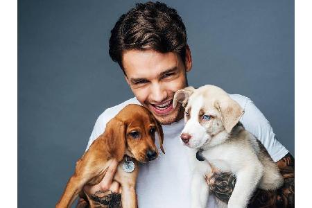 Auch One Direction-Star Liam Payne (24) ist ein echter Hunde-Narr. Hier knuddelt er mit zwei Hunden. Das Foto postete er sto...