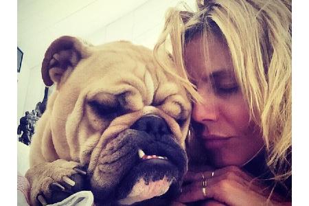 Mit wem Model-Mama Heidi Klum (44) am liebsten kuschelt? Mit ihrem Hund natürlich! Kein Wunder, so knuddelig wie der aussieht.