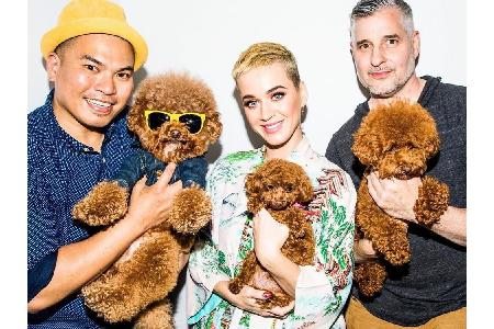 Katy Perrys (32) Teacup Pudel 