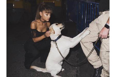 Sie lässt keine Gelegenheit aus, ihrem Hund zu zeigen, wie gern sie ihn hat: Pop-Sternchen Ariana Grande (24) ist total Toul...