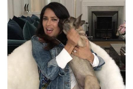 Salma Hayeks (51) Hunde sind ganz schön frech: Nicht nur eine Hochzeit sollen sie 