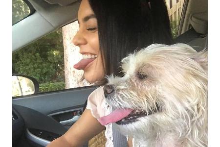 Schauspielerin Vanessa Hudgens (28) hat nichts gegen ein Selfie mit Hund einzuwenden. Der süße Vierbeiner mit den schielende...