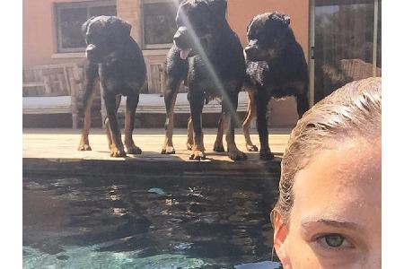 Model Bar Refaeli (32) wird beim Planschen gut bewacht: Ihre Hunde stehen am Beckenrand und halten Ausschau nach Gefahren. R...