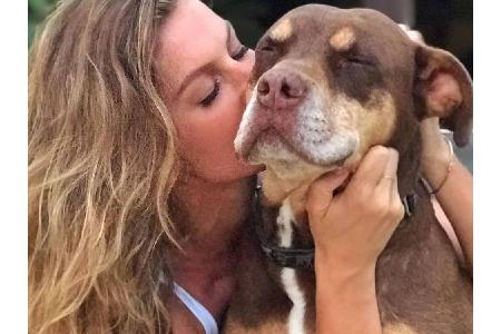 Model Gisele Bündchen (37) ist dankbar für ihre treuen Freunde. Sie ist ganz vernarrt in Hund Lua. Sie und Ehemann Tom Brady...