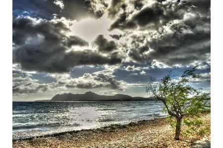 ...und zwar ausgerechnet Mallorca! Die Mittelmeerinsel ist mittlerweile ein echter Silvester-Hotspot. Angenehme Temperaturen...