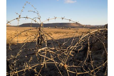 Offiziell dient ein Kraftwerk in der israelischen Wüste Negev als Entsalzungsanlage zur Begrünung. Die israelische Regierung...