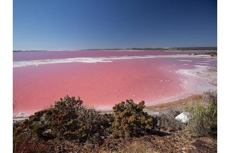 Der Lake Hillier liegt an der Westküste Australiens und verdankt sein knalliges Pink Bakterien und Algen, die sich in seinem...