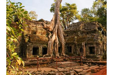Menschheit vs. Natur: 0:1 - Dieser Eindruck drängt sich bei der verlassenen Tempelanlage Ta Prohm in Kambodscha unweigerlich...