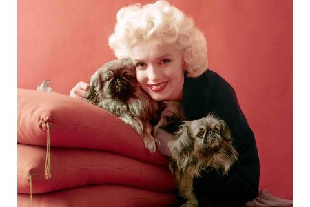 Milton H. Greene war berühmt für seine Aufnahmen von Marilyn Monroe und vieler anderer Stars ihrer Zeit.