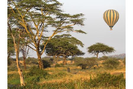 Ballon statt Jeep: Im Serengeti-Nationalpark Tansania kann man eine Luft-Safari machen und die wilden Tiere aus der sicheren...