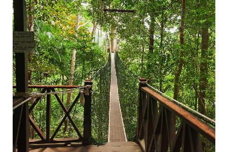 Auf Seilbrücken durch das älteste Waldgebiet der Welt schlendern? Auch das ist in Malaysia möglich. Im Nationalpark Taman Ne...