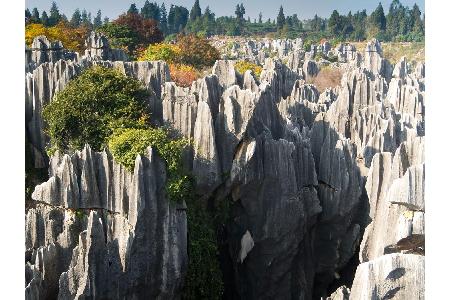 84 Kilometer südlich von Kunming liegt der berühmte Steinwald, im Chinesischen Shilin genannt. Die skurrilen Steingebilde ha...