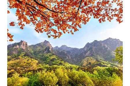 Neben dem modernen, schrillen und lauten Südkorea gibt es natürlich auch noch ein anderes Südkorea. Malerische Natur, faszin...