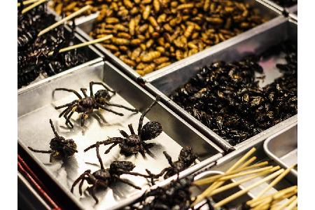 Kross frittiert und gut gewürzt - so soll die schwarze Vogelspinne in Kambodscha auf den Tisch kommen bzw. auf die Hand. Die...