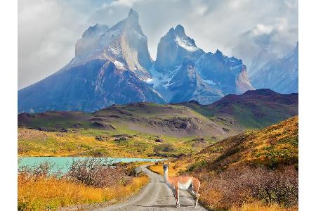 Warum gerade Chile? Weil es der optimale Ausgangspunkt ist, um entweder im Norden mit der Atacama-Wüste zu starten oder aber...