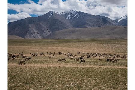 Zurück nach Asien, genauer gesagt nach Tibet. Die weiten Steppen im Nordwesten heißen Changtang. Bis auf wenige Nomaden lebe...