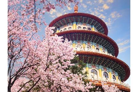 Es gibt aber auch ein gänzlich anderes, tief traditionelles Taiwan. Wenige Meter neben den lauten Hochhausschluchten Taipehs...