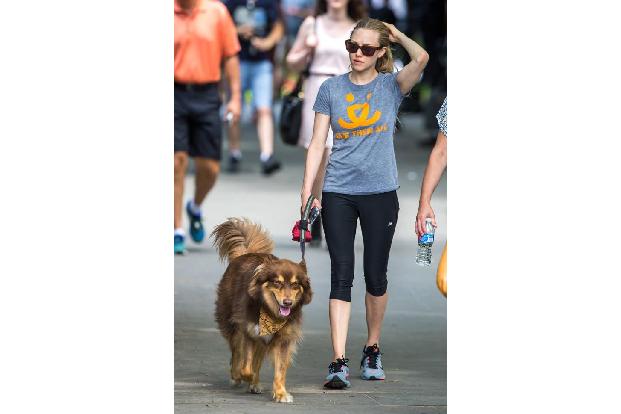 ...auch gerne an ihrer Seite ist Finn, denn Frauchen Amanda Seyfried spaziert täglich ausgiebig mit ihm durch New York. Und...