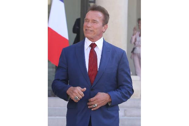 ...Österreicher begann als Bodybuilder und machte dann seinen Weg in Hollywood - man hätte in den Zeiten von 'Conan' und 'Te...
