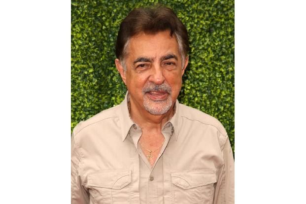 ...bei CBS nicht wegzudenken ist, ist Joe Mantegna. Seit 2007 ist er mit 'Criminal Minds' wohl jedem Serienfan bekannt und e...