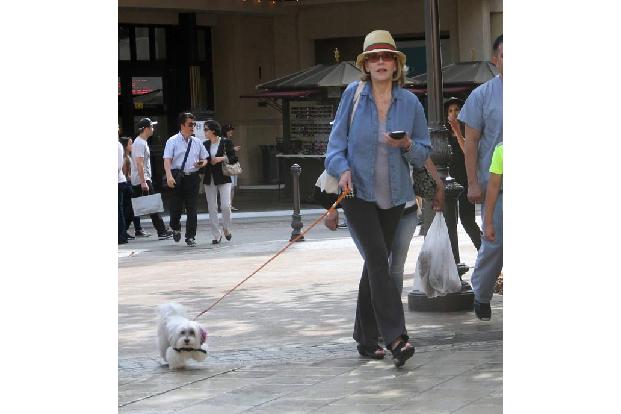 ...Jane Fonda 2011 ihren Golden Retriever verlor, entschied sie sich für einen kleineren Wauzi. Seitdem weicht Tulea nicht m...